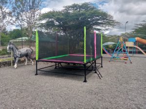 trampoline in Kenya